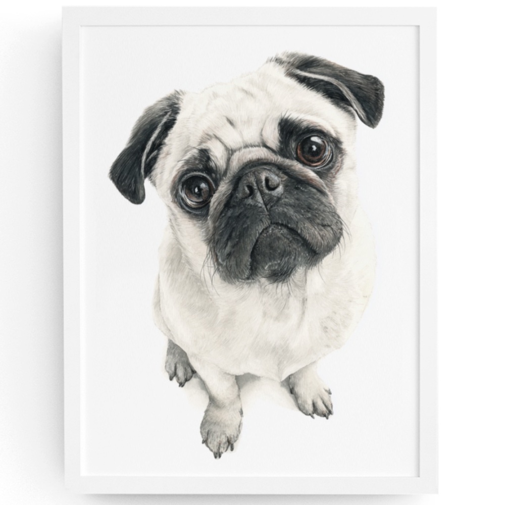 Watercolor Fawn Pug Dog Pet Portrait Wall Art Print Poster Unframed